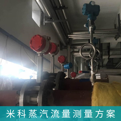 饱和蒸汽计量系统解决方案
